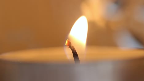 vela de cerca