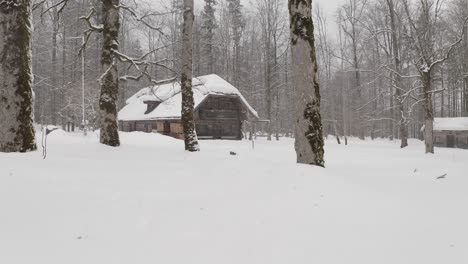 Luftdrohne-Des-Europäischen-Winter-Nordic-Hauses---Unbenotet