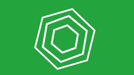 green screen hexagon shape rotating motion graphics shape