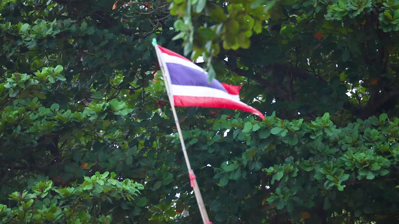 Bandiera thailandese che sventola dolcemente tra una vegetazione lussureggiante
