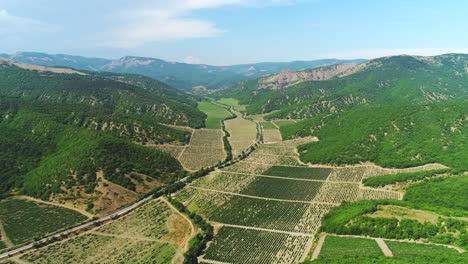 aerial view of a vineyard valley