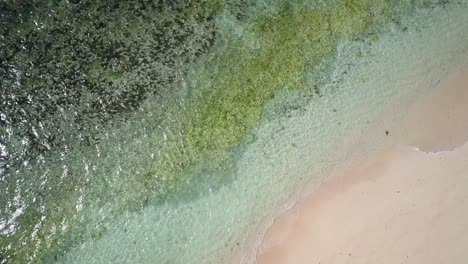 Aerial-tracking-shot-of-white-sandy-beach-with-crystal-clear-green-waters-and-coral-reefs-in-the-Philippines