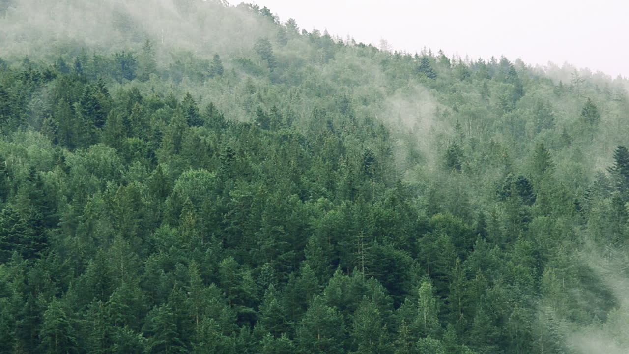 Steam over mountains after a rain. Shooting of mountains