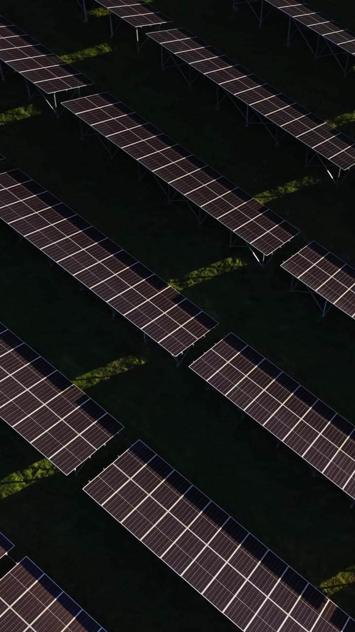 Pannelli solari disposti in file catturano la luce solare per la produzione di energia