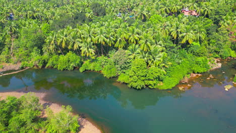 Luftaufnahme-Des-Mangrovenwaldes,-Umgeben-Von-Einer-Drohne-Aus-Dem-Fluss-Goa-In-Indien