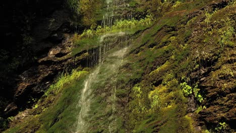 clean small waterfall in the forest. beautiful nature norway natural landscape.