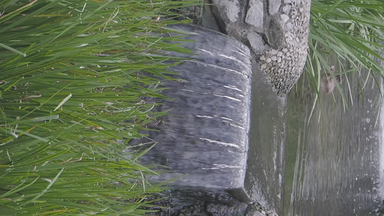 정원 에 있는 작은 물 의 특징