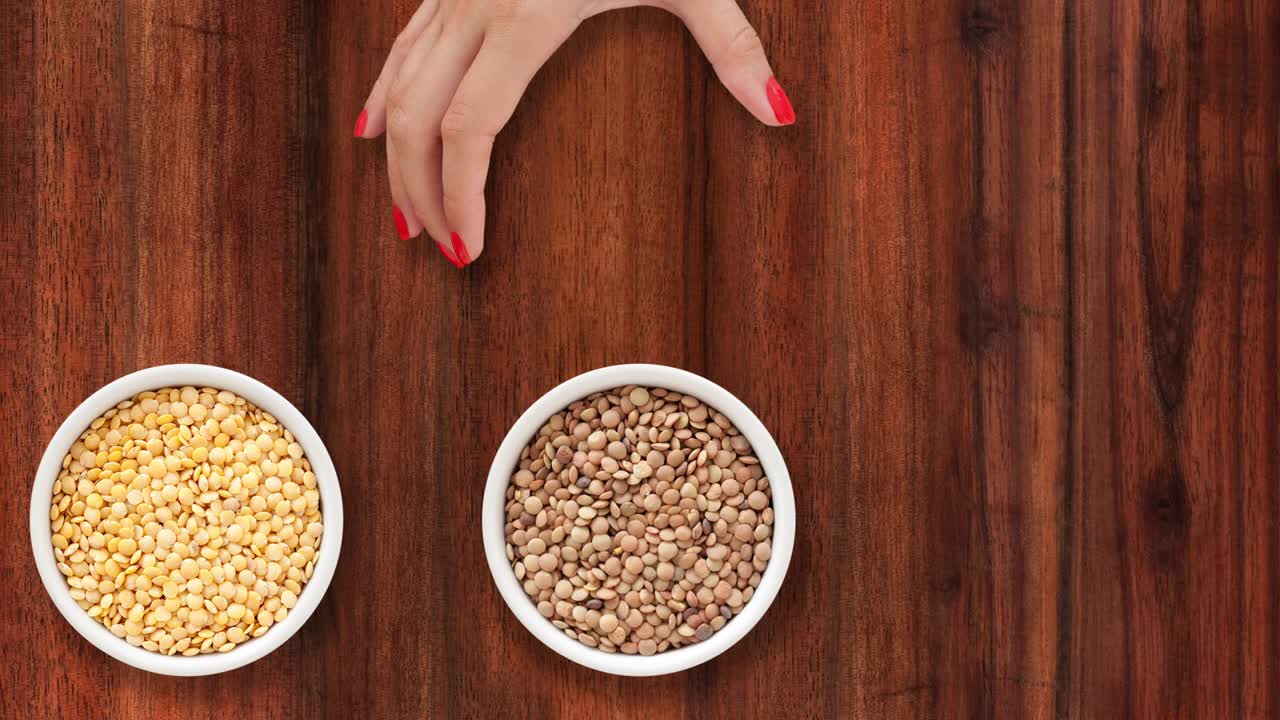 렌즈 를 바치는 것