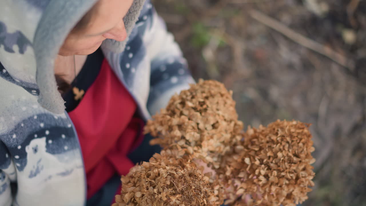 Artisan on stool arranging dried hydrangea focused closeup of careful hands, cozy hoodie and sweater, rustic yard setting, preserved bouquet formation and meditative muted tones