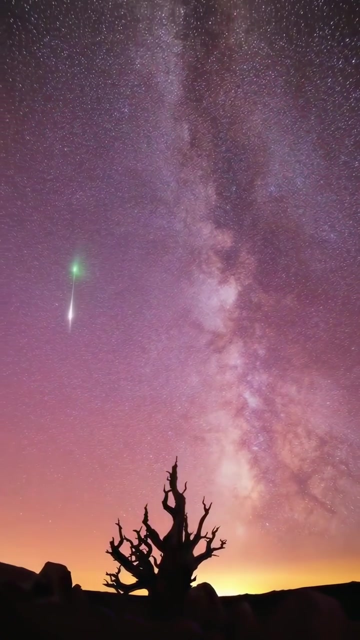Time-lapse de la Vía Láctea con estelas de estrellas, silueta de árbol y rayo láser verde