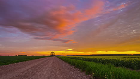 Zeitraffer-Der-Straße-Im-Blumenfeld-Mit-Sonnenuntergang-Und-Orangefarbenem-Bewölktem-Himmel