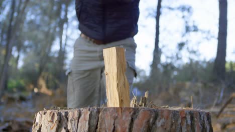 leñador masculino cortando leña con un hacha en el bosque 4k