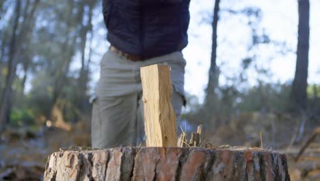 male logger chopping wood with an axe in the forest 4k