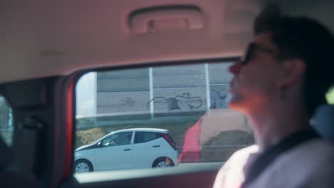 Passenger's View from a Car Window on a Sunny Day