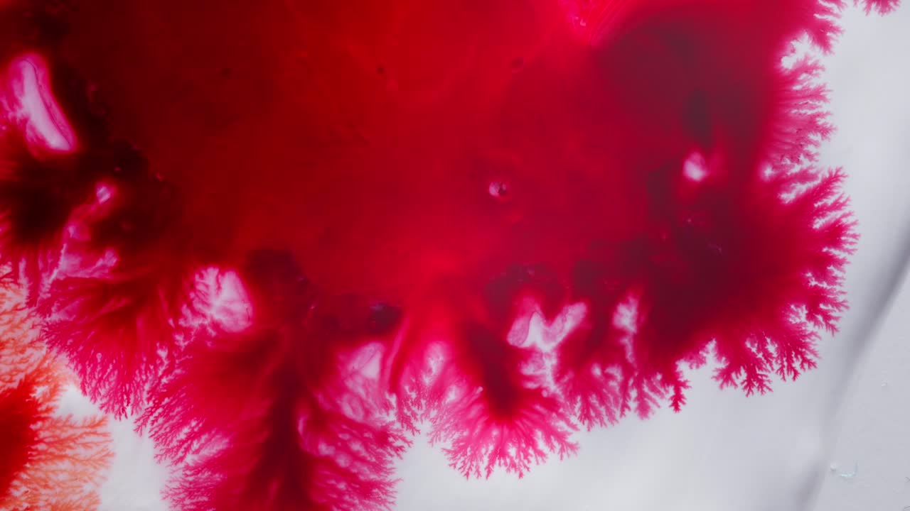 Bright red alcoholic ink spreads organically in macro, forming fractal-like patterns