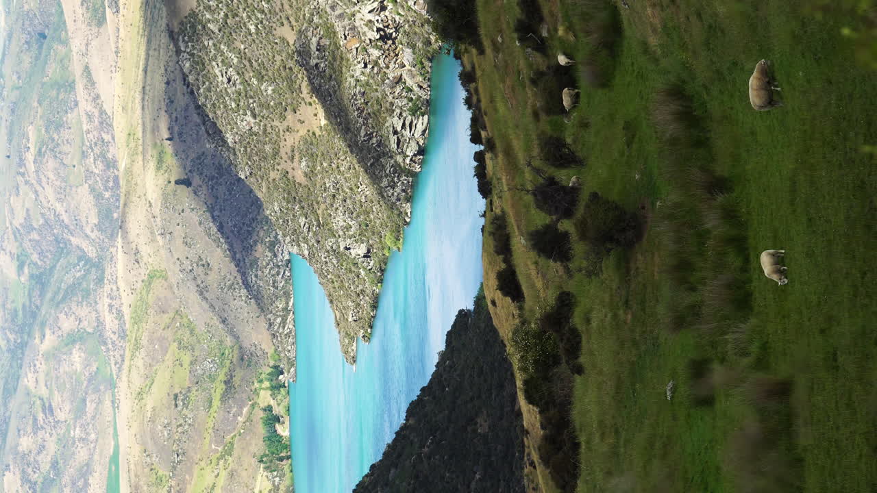 paisaje de nueva zelanda con ovejas y montañas con río en cromwell, vertical