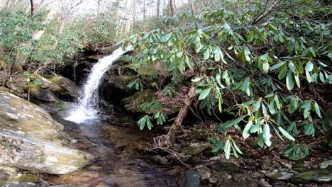 Waterfall-in-background-with-Rhododendron-on-the-banks-in-the-foreground-in-the-Blue-Ridge-Mountains-in-4K