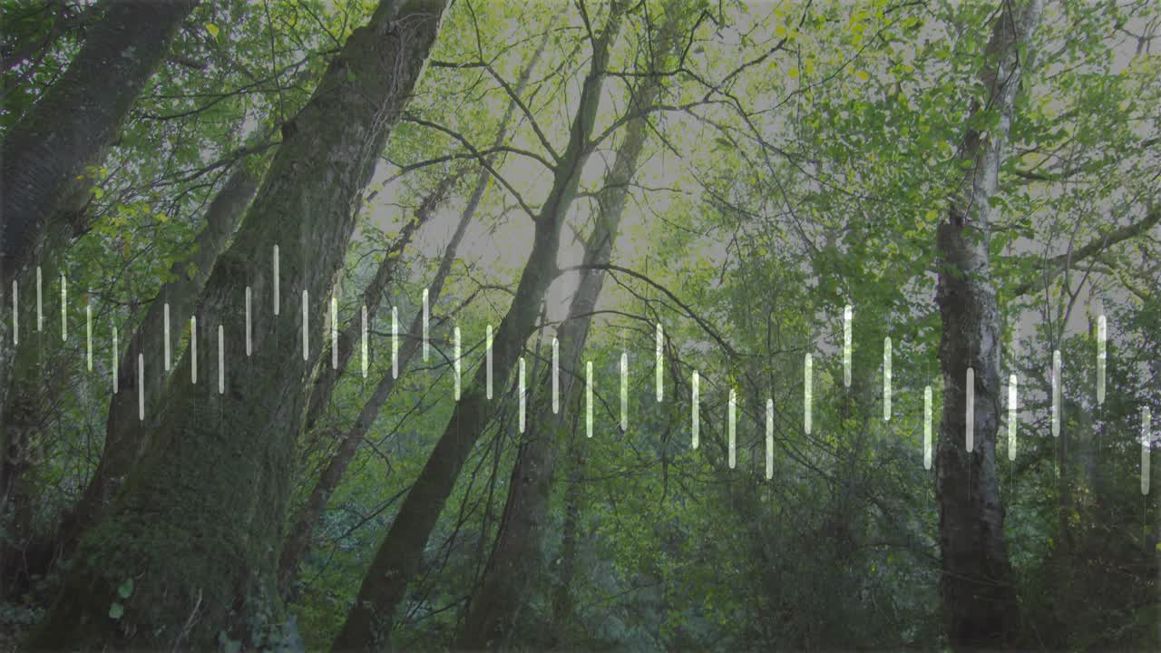 White bars fading in at 0s over winding forest path, zigzagging, showing values, sweeping arcs