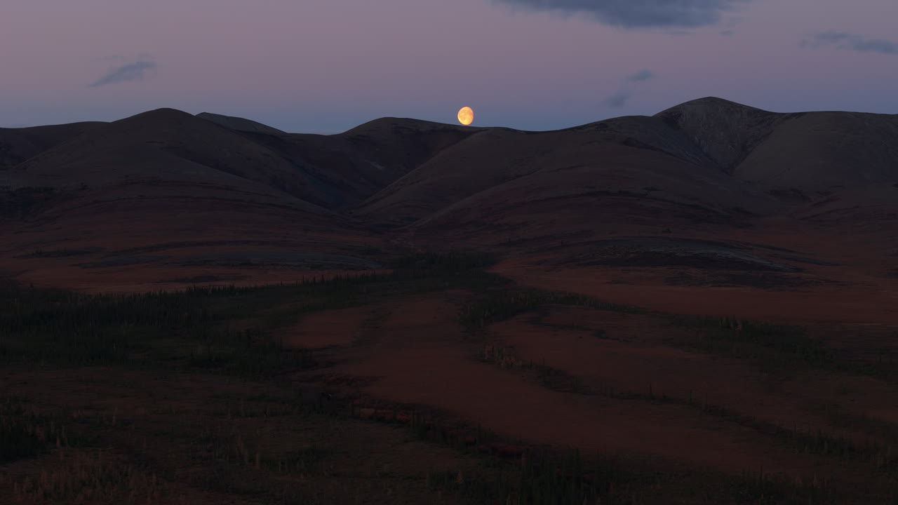 A Picturesque View of the Arctic Circle Showcasing a Tranquil Landscape Illuminated by a Glowing Moon at Night in Yukon, Canada - Wide Shot