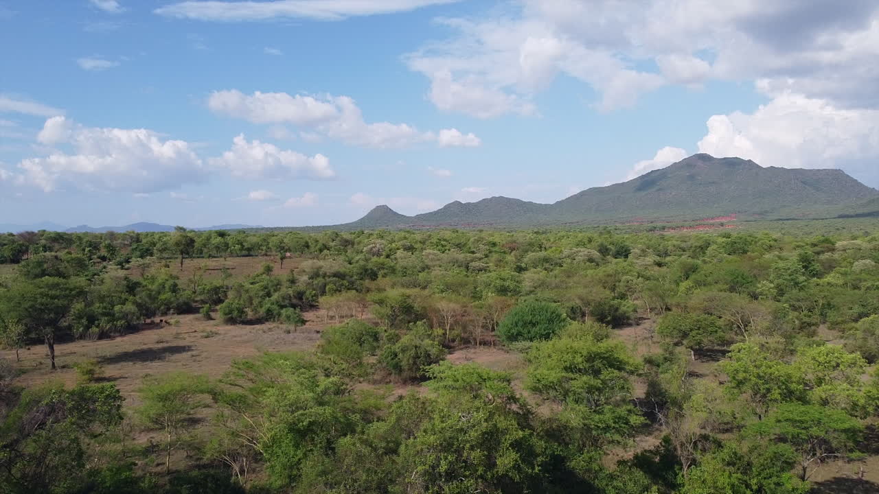 Drone che effettua una panoramica sulla savana etiope nella Valle dell'Omo, in un'area rurale con una catena montuosa sullo sfondo 2