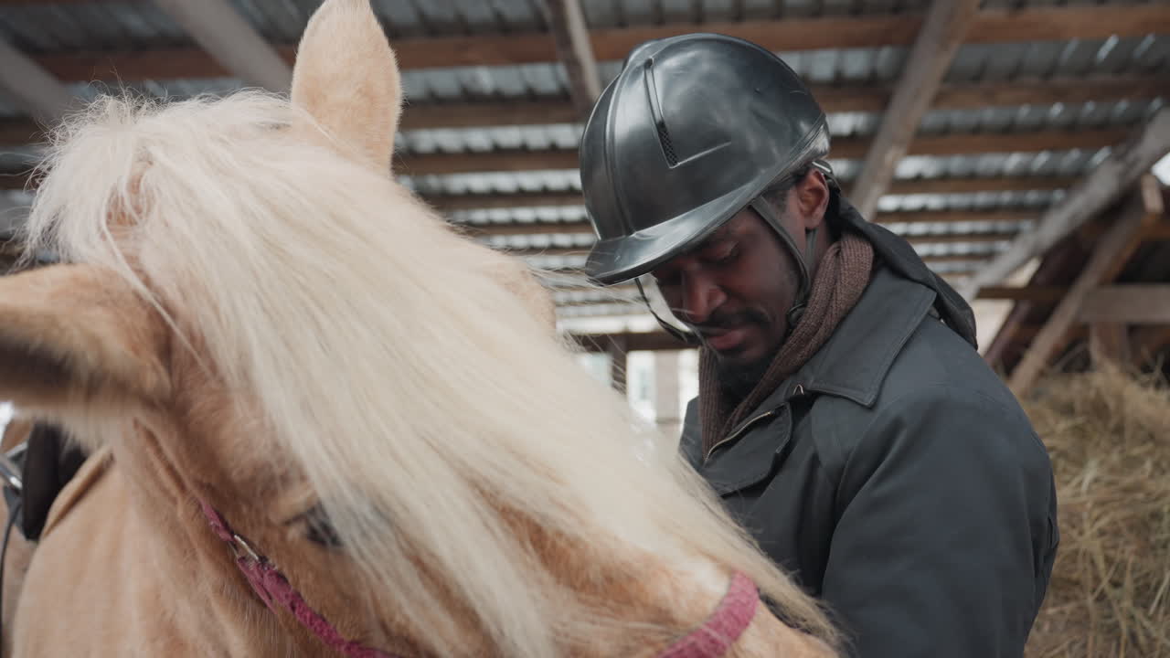Escena de preparación ecuestre, esmerada preparación del caballo y del jinete, cuidador ajustando suavemente las correas de un caballo tranquilo, momento sereno de unión entre el jinete y el caballo en un establo