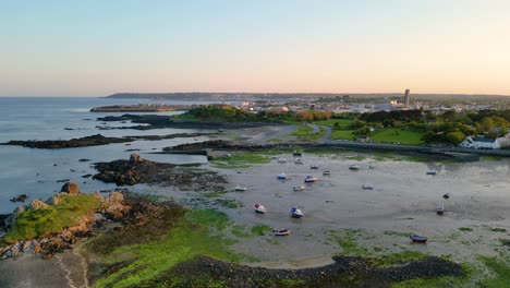 rising flight over entrance to bordeaux harbour guernsey at low tide with boats drying on sandy bottom and green seaweed on foreshore on bright late afternoon with views across to st sampsons