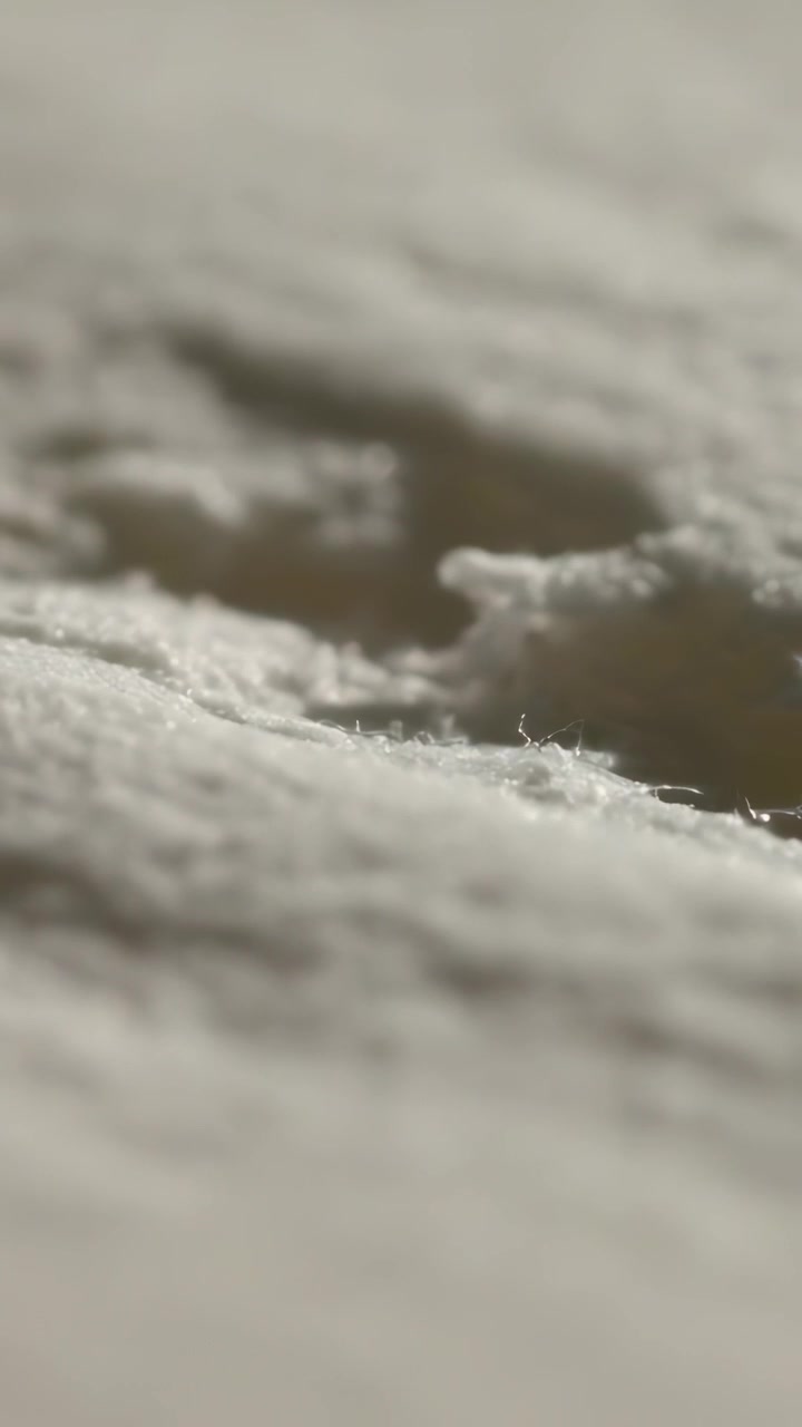 Video verticale: Lente che si muove mettendo a fuoco una superficie fibrosa e porosa in macro ravvicinata, mostrando la texture.