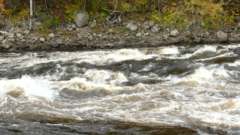 Rápido-Flujo-De-Río-Blanco-En-Cascada-Sobre-Rocas-Mientras-La-Corriente-Lo-Lleva-Por-Un-Valle