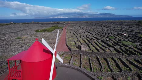 Paisaje-De-La-Cultura-Del-Viñedo-En-La-Isla-De-Pico