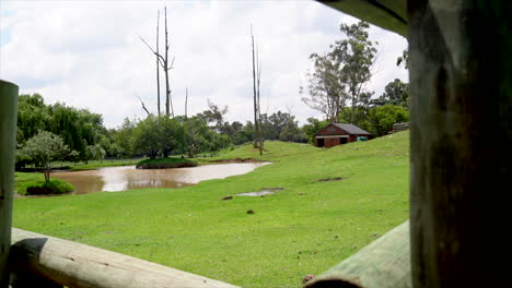 Wide-shot-of-an-empty-animal-enclosure-at-the-Johannesburg-Zoo,-South-Africa