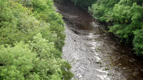 Overlooking-tranquil-woodland-river-gorge-wilderness-flowing-water-stream