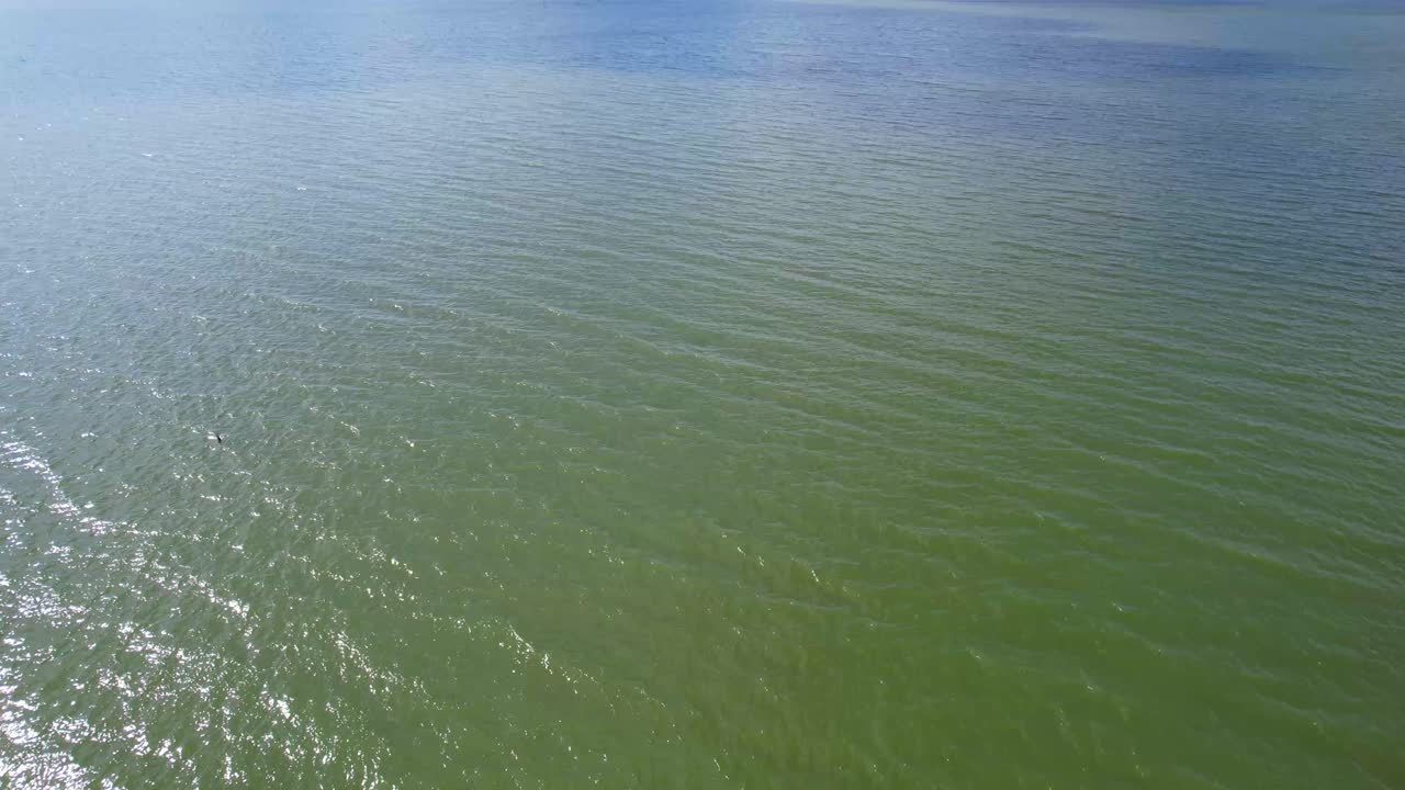 lavan lago princeton texas grúa