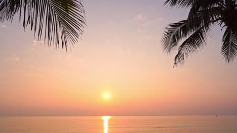 Puesta-De-Sol-Dorada-Sobre-El-Mar-Con-La-Silueta-De-La-Rama-De-La-Palmera-En-Primer-Plano