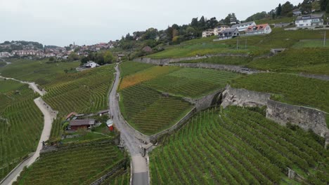 push-in aerial, lavaux region and roads in switzerland, well-known for the wine