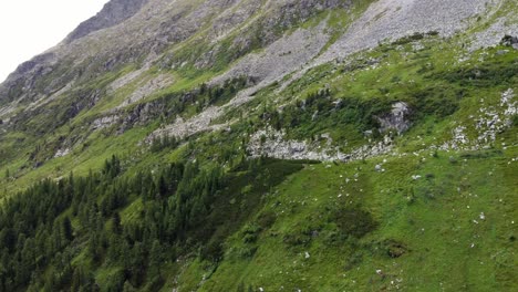 steep gravel slope next to a forest in the alps in kaernten, austria