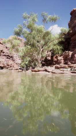 desert canyon with river and tree reflection