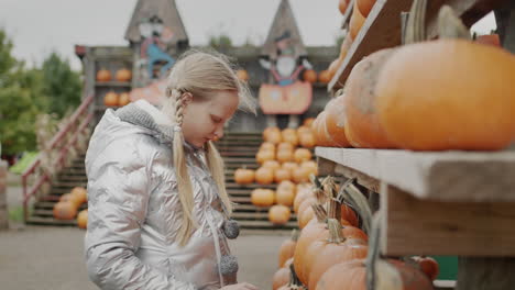 a child chooses pumpkins at a halloween and thanksgiving fair.