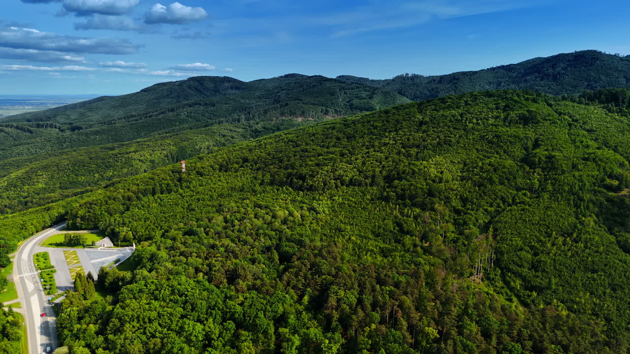 Mountain slope covered with lush green forest. Wildlife nature of Slovakia in summer. Aerial view.