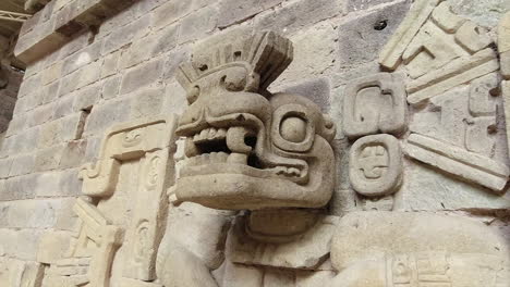 carved stone relief animal head in wall at ancient mayan copan ruins