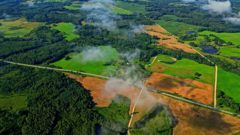 aerial shot of a huge green field with crops and a road crossing the landscape