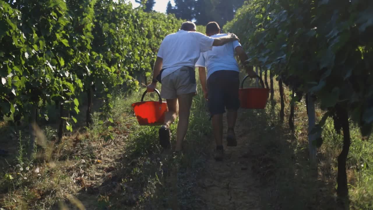 agricultor amigable caminando en un viñedo