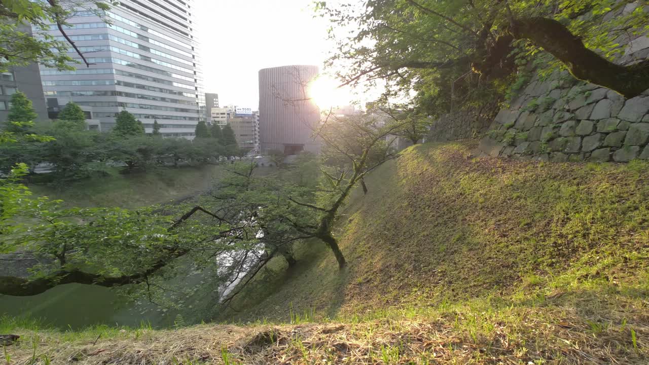 도쿄 치도리가푸치 (tokyo chidorigafuchi) 2022년