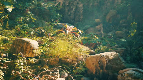 lush jungle scene with sunlight