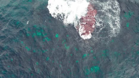 vista aérea de aguas turquesas y negras en el océano índico cerca del pont naturel