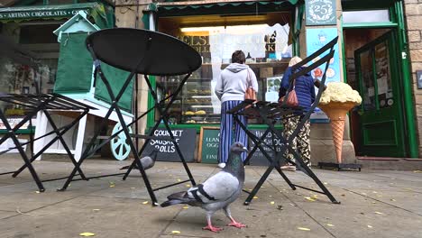 palomas y personas interactúan fuera de una tienda