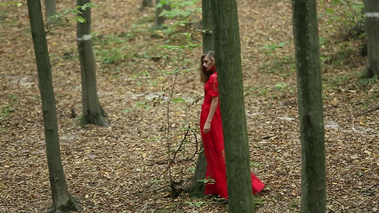 Young Woman Walks In Forest. Young woman in long red dress walks in forest