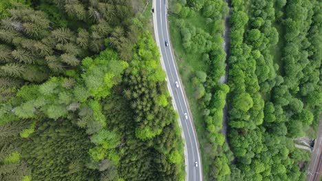 Tranquilos-Bosques-Rumanos:-Vista-Aérea-4k-De-Pinos-Y-Vegetación-Alpina-A-Lo-Largo-De-Un-Pintoresco-Camino-Forestal