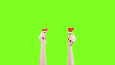 blogger mujer sostiene en las manos pequeños corazones rojos en la pantalla verde. como en la red social. día de san valentín, día internacional de la mujer, amor