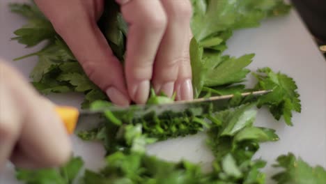 Chopping-parsley-on-a-chopping-board-with-knife-in-a-kitchen