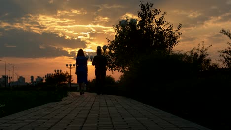 young couple walking in sunset. slide